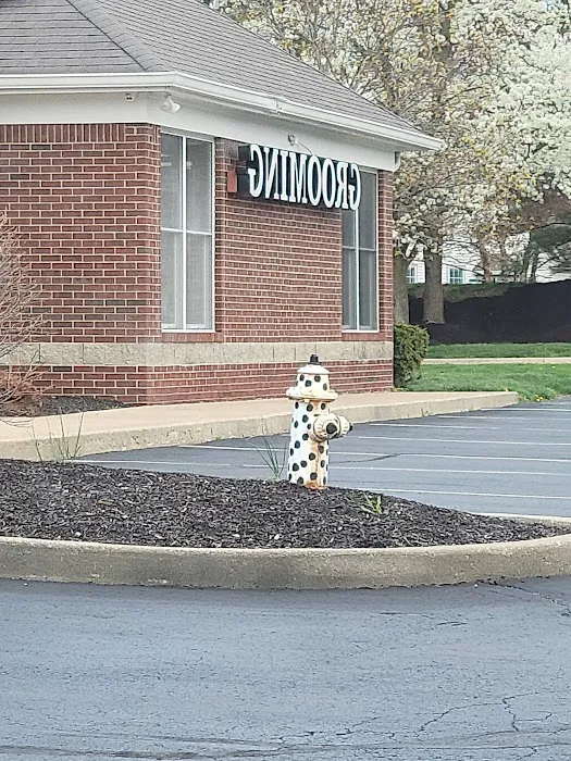 Windermere Animal Hospital Picture 9