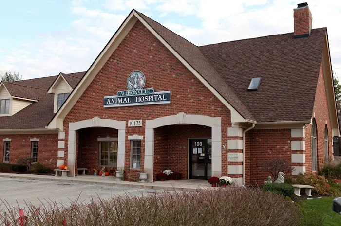 Allisonville Animal Hospital Picture 10