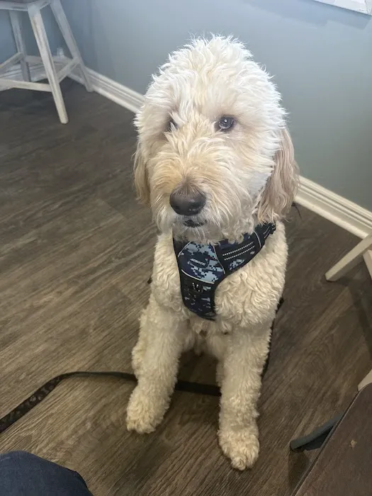 Center Grove Animal Clinic Picture 3