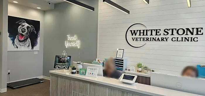 White Stone Veterinary Clinic Picture 7