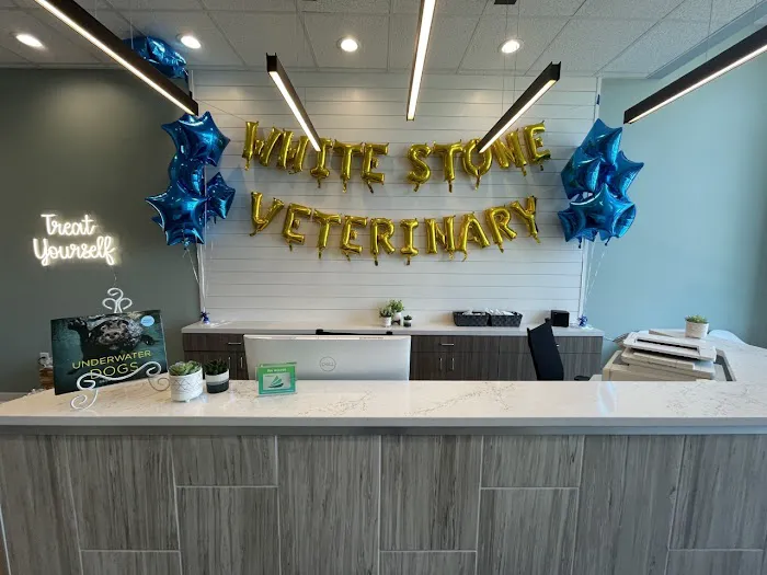 White Stone Veterinary Clinic Picture 10