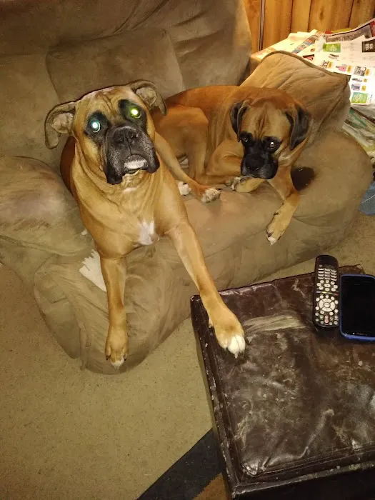 Mooresville Animal Hospital Picture 7