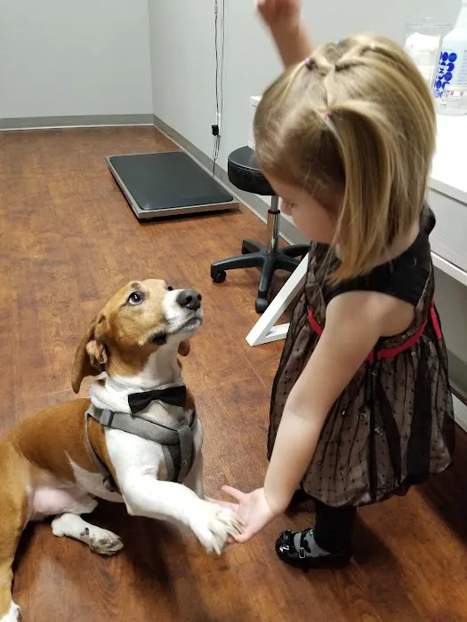 Animal Allergy & Dermatology Center of Indiana Picture 5