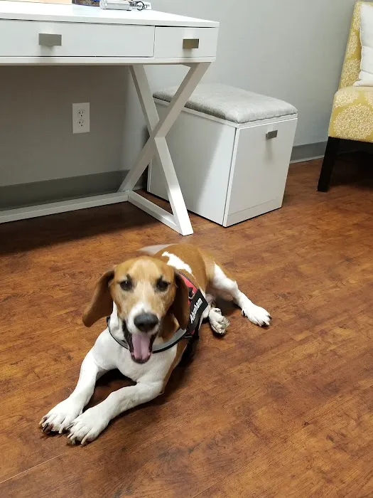 Animal Allergy & Dermatology Center of Indiana Picture 7