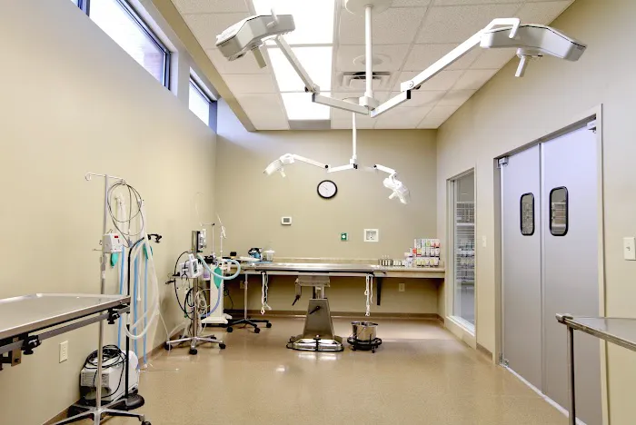 Michigan Road Animal Hospital at 96th Street Picture 6