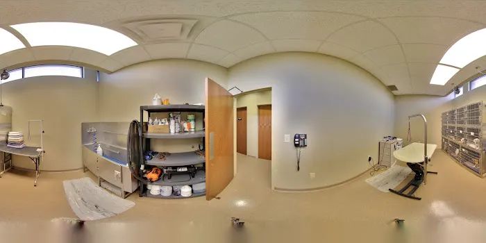 Michigan Road Animal Hospital at 96th Street Picture 7