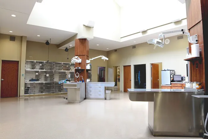 Michigan Road Animal Hospital at 96th Street Picture 10