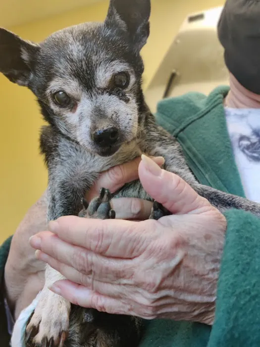 Pet Clinic of Brownsburg Picture 2