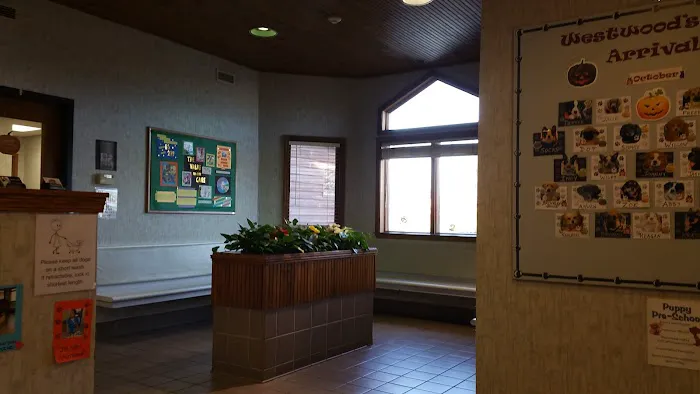 Westwood Hospital for Animals Picture 7