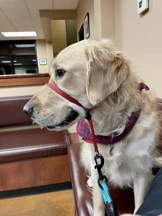 MedVet Indianapolis Picture 4