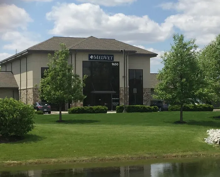 MedVet Indianapolis Picture 7