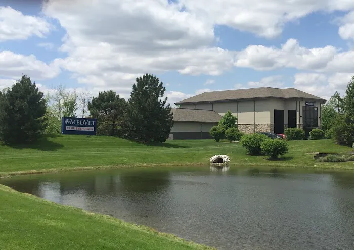 MedVet Indianapolis Picture 3