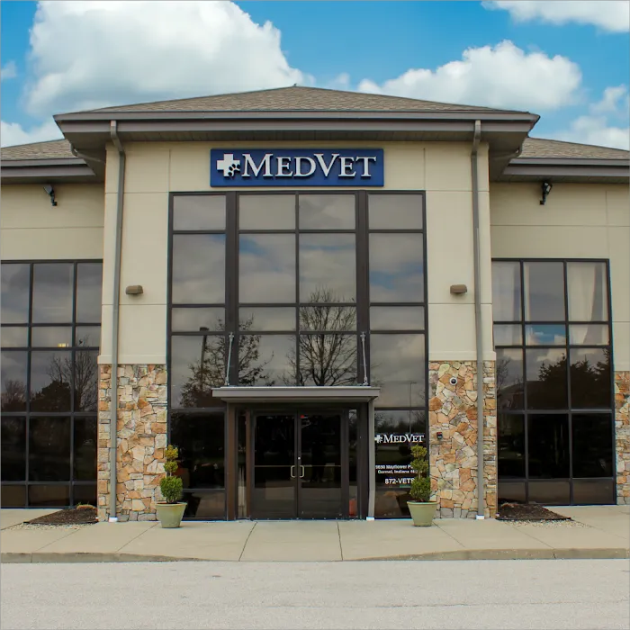 MedVet Indianapolis Picture 10