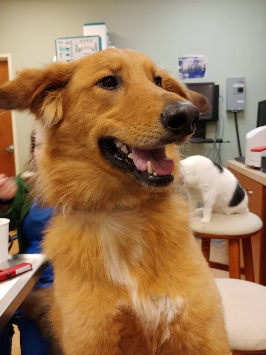 New Palestine Veterinary Clinic Picture 6