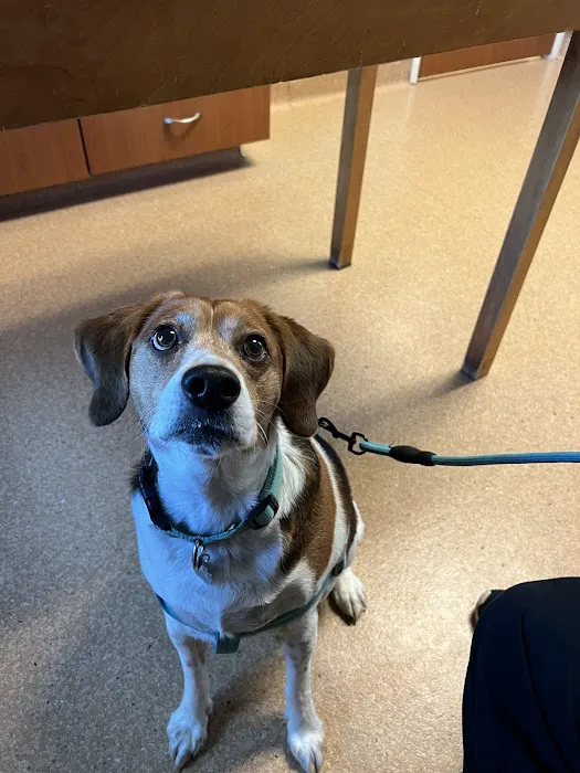 New Palestine Veterinary Clinic Picture 9