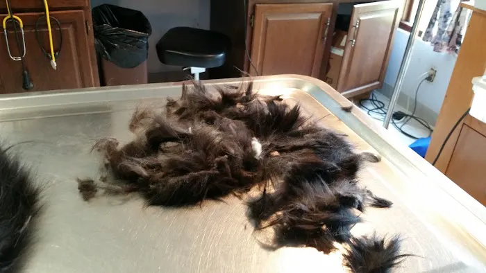 Greenfield Veterinary Clinic Picture 4