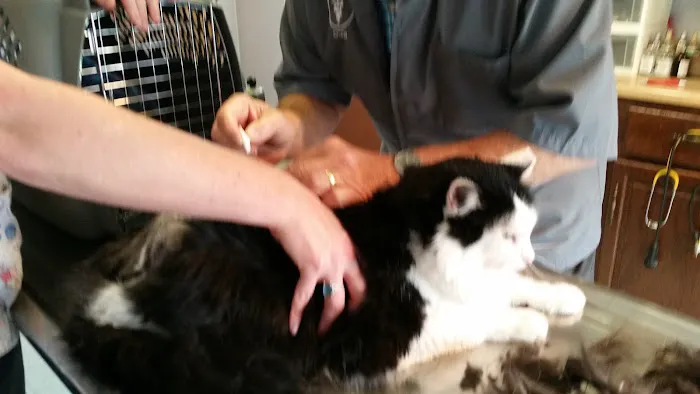 Greenfield Veterinary Clinic Picture 7