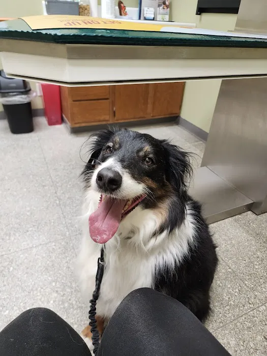 Noah's Brandywine Animal Hospital Picture 2