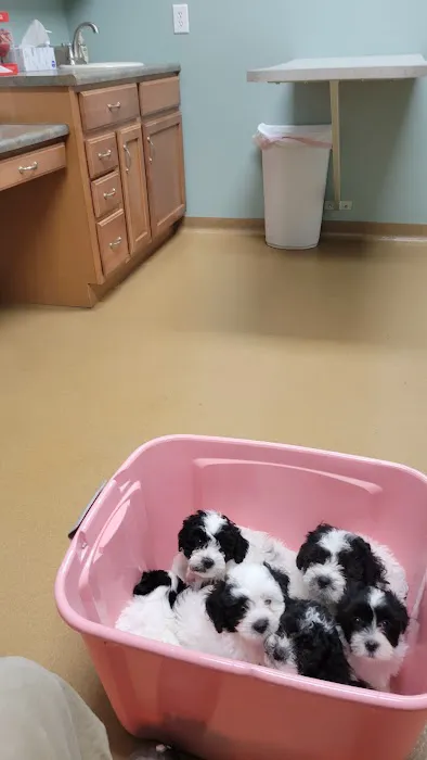 McCordsville Veterinary Hospital Picture 9