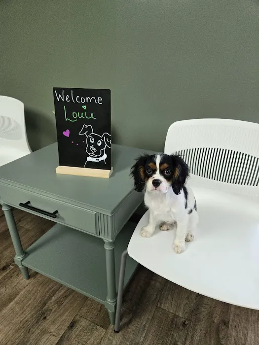 Olive Animal Hospital Picture 6