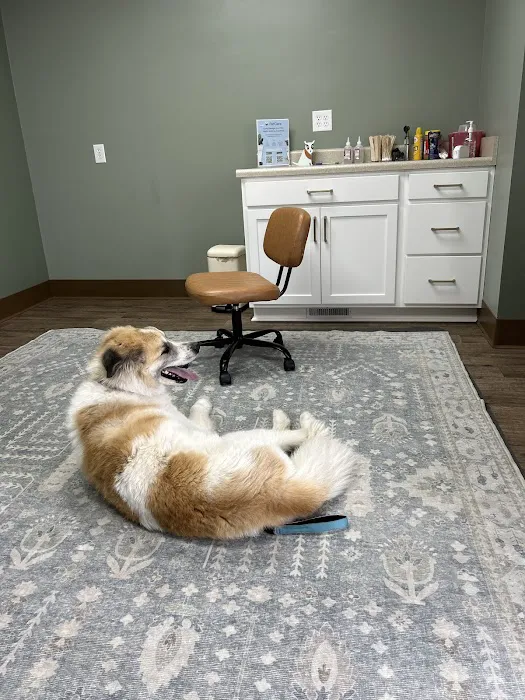 Olive Animal Hospital Picture 1