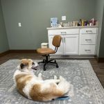 Olive Animal Hospital