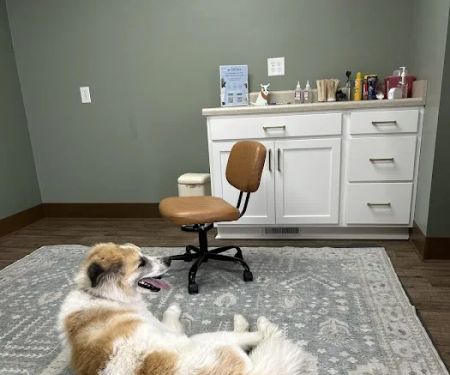 Olive Animal Hospital