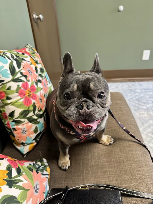 Olive Animal Hospital Picture 9