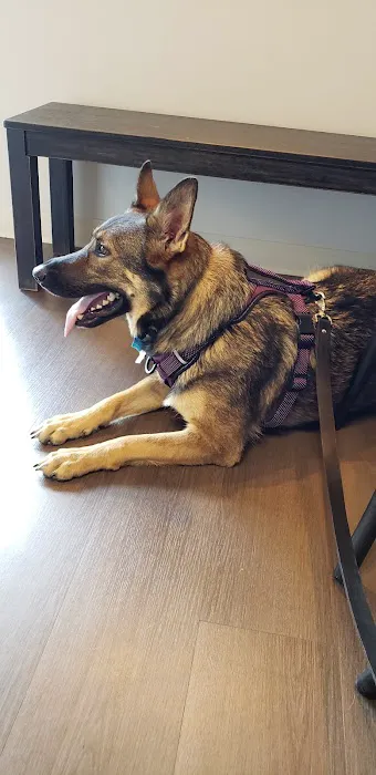 Healthy Paws Animal Hospital Picture 4