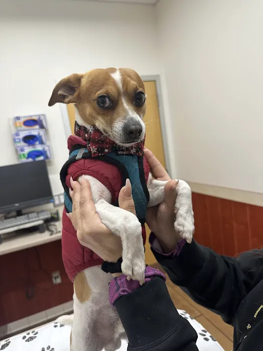 Ocean Ave Veterinary Hospital: Aulakh Parminder DVM Picture 2