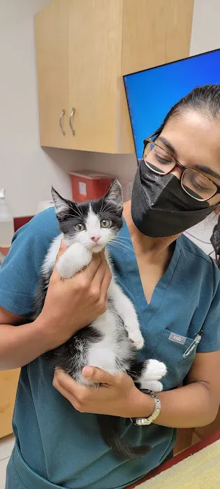 Ocean Ave Veterinary Hospital: Aulakh Parminder DVM Picture 1