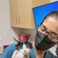Ocean Ave Veterinary Hospital: Aulakh Parminder DVM ico