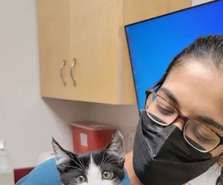 Ocean Ave Veterinary Hospital: Aulakh Parminder DVM