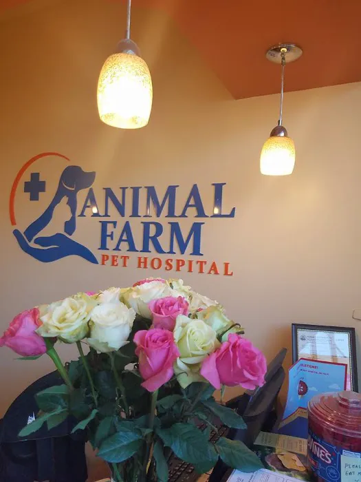 Animal Farm Pet Hospital Picture 7