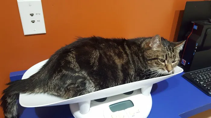 Animal Farm Pet Hospital Picture 6