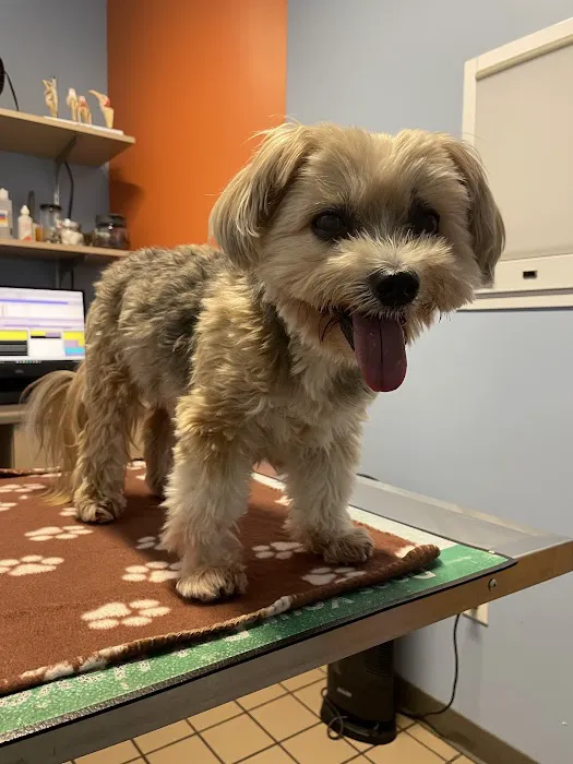 Healthy Pets Veterinary Hospital Picture 2