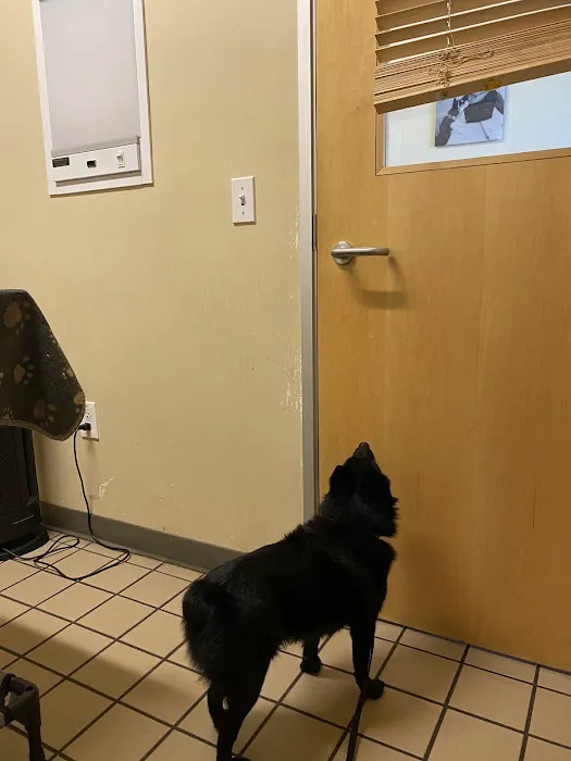 Healthy Pets Veterinary Hospital Picture 3