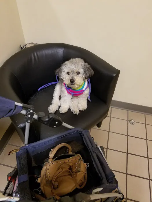 Healthy Pets Veterinary Hospital Picture 5