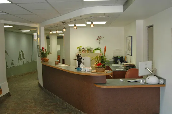 Veterinary Vision Animal Eye Specialists Picture 8
