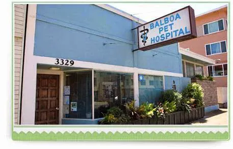 Balboa Pet Hospital Picture 6
