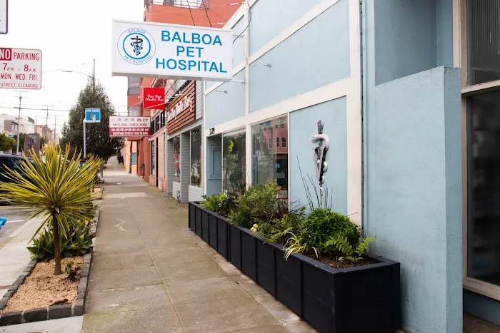 Balboa Pet Hospital Picture 1