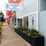 Balboa Pet Hospital