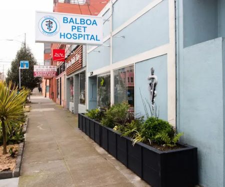Balboa Pet Hospital