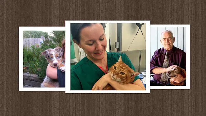 Balboa Pet Hospital Picture 8