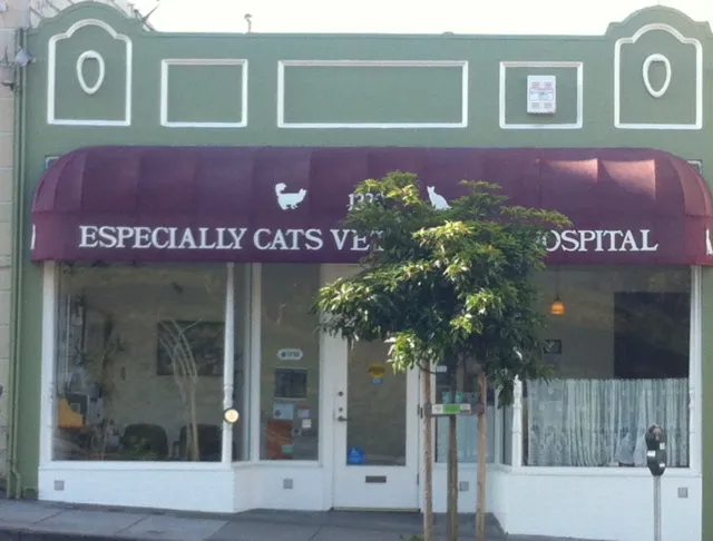 Small Paws Pet Hospital Picture 2