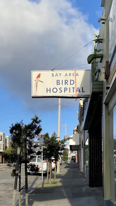 Bay Area Bird Hospital: Dustin Lynn R DVM Picture 1