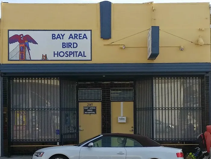Bay Area Bird and Exotics Hospital Picture 6