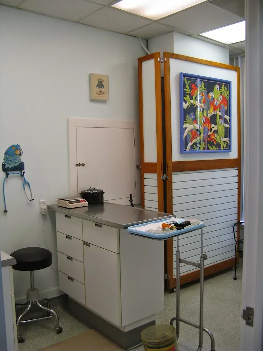 Bay Area Bird and Exotics Hospital Picture 1
