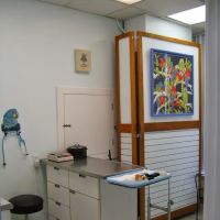 Bay Area Bird and Exotics Hospital ico