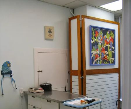 Bay Area Bird and Exotics Hospital